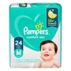 FRD PAMPERS CONF/SEC ECON. M/24