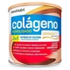 COLAGENO HIDRO. 2EM1 VERISOL 250G FRUTAS VERMELHAS