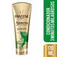 CD PANTENE 3MM RESTAU 170ML