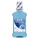ENXAGUANTE ORAL-B 250ML MENTA
